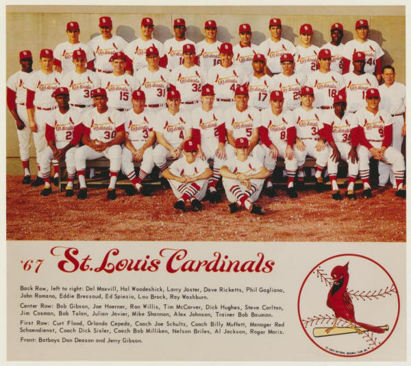 1967 St. Louis Cardinals Team Picture